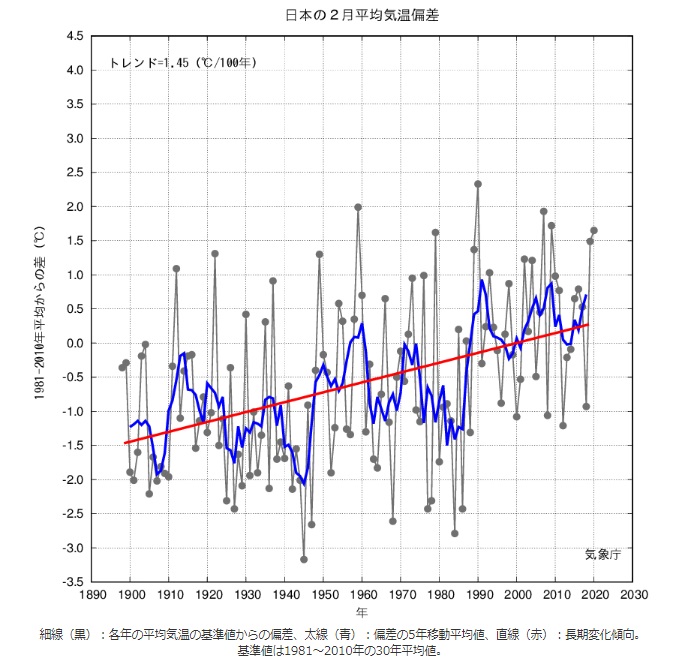 2月　気温の推移